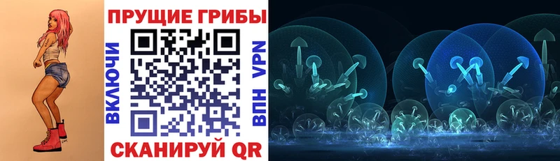 Галлюциногенные грибы Psilocybe  ОМГ ОМГ ссылки  Анадырь 